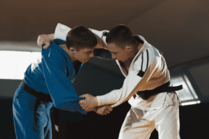 melhores sistemas para academias de artes marciais